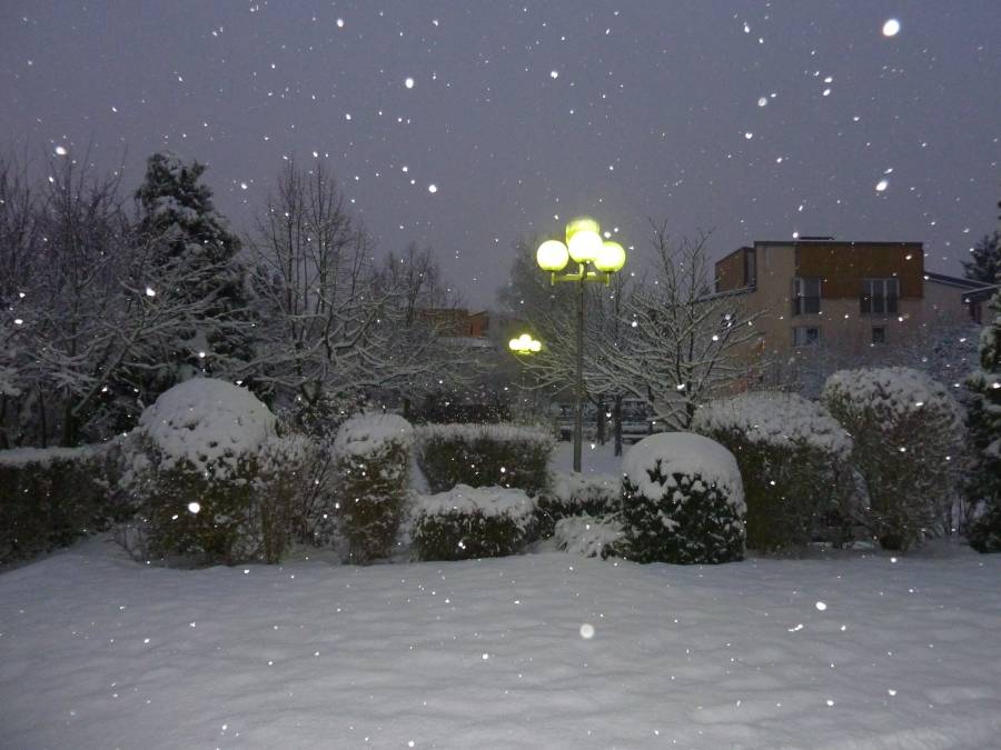 Placette sous la neige