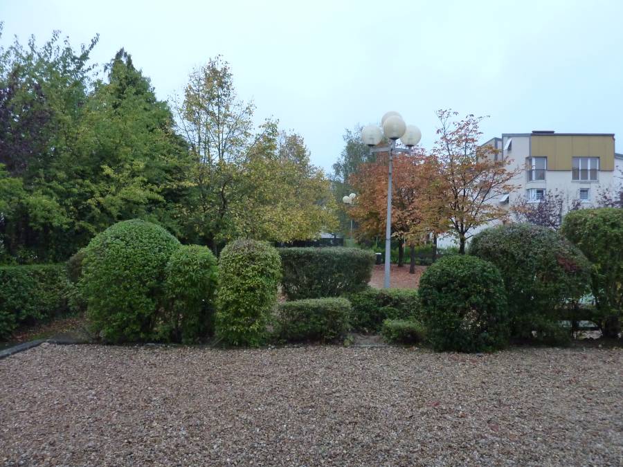 Placette d'automne